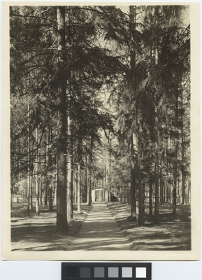 Skogskapellet, Skogskyrkogården
Portal