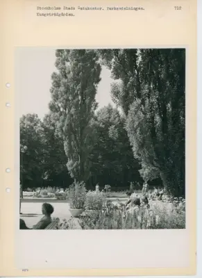 Parkprogram.
Kungsträdgården.