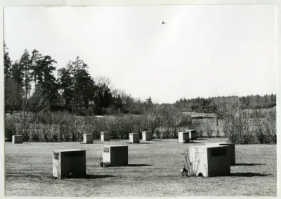 Råcksta begravningsplats 
Gravlund