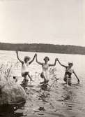 Badliv. Tre kvinnor i baddräkt håller hand och dansar i vattnet vid Gärdsvik. Ljusterö socken, Uppland.