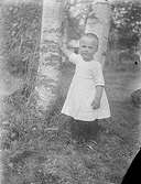 Ett litet barn vid ett träd. Lima, Dalarna