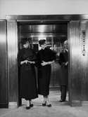 Två modeller klädda i svarta kappor, pumps och hattar, står vid öppning till hiss på Nordiska Kompaniet. Man klädd i uniform står bakom hissöppningen.