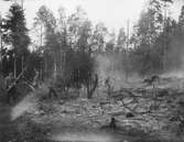 Dokumentation av jordbruk, här svedjelandsbränning i Slobyn i Värmland. Man dämpar elden efter kanterna med granrisruskor.