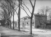 Kyrkogårdsgatan från Carolinaparken, Uppsala 1901 - 1902
