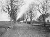 Korsningen Vaksalagatan och dåvarande Kvarngärdesgatan, Fålhagen, Uppsala 1908