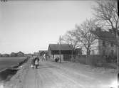 Kyrkogårdsgatan från Vasagatan mot norr, Luthagen, Uppsala 1908