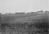 Vy mot Uppsala från nordväst, 1908