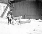 Man och ren på Feithska tomten, kvarteret Oden Ygg, Uppsala