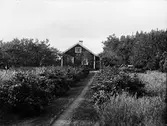 Höglunds gård, Sonbo, Films socken, Uppland 1910