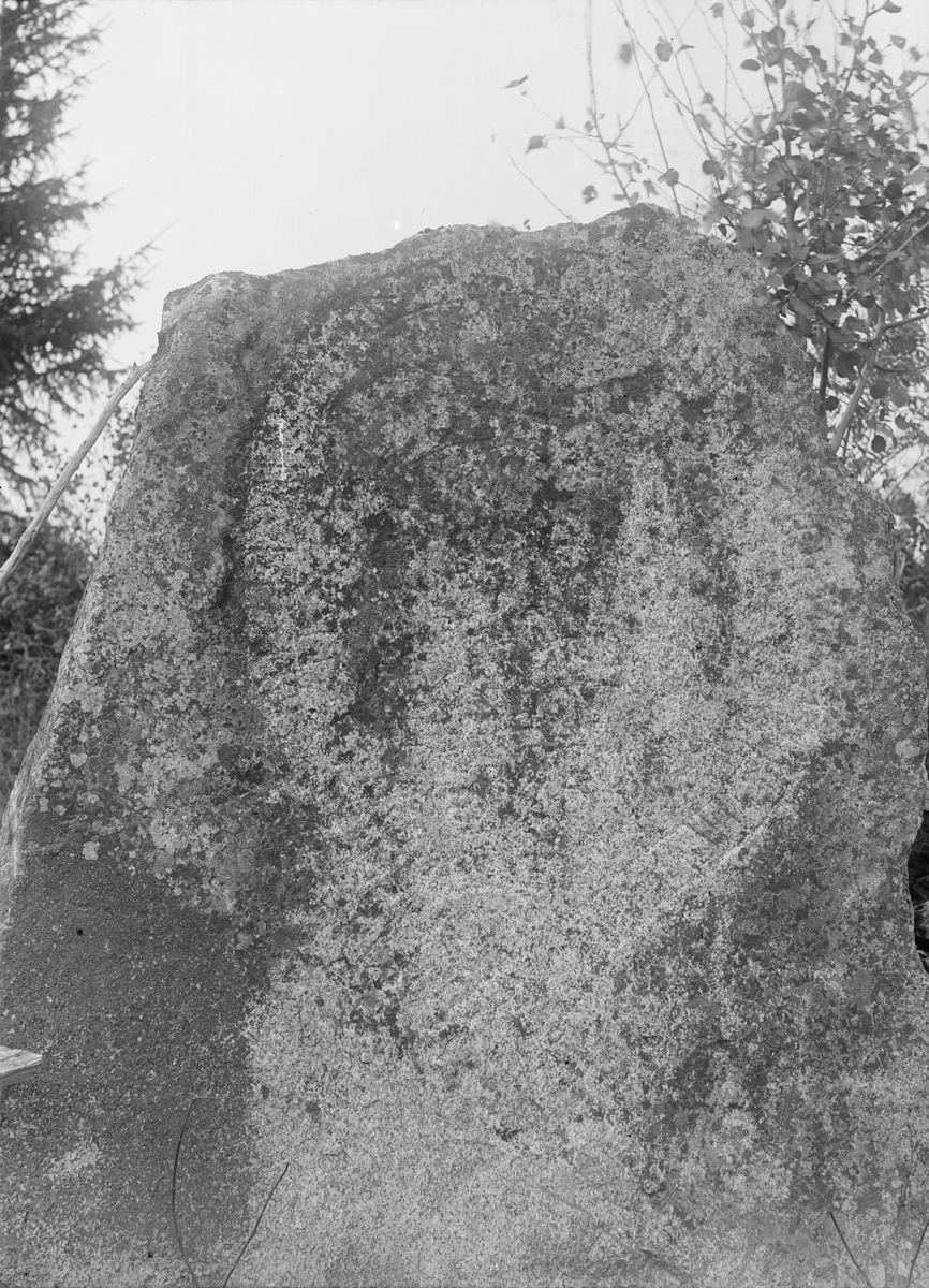 Henri Osti's Fotografiateliér, Runsten U1016 i Fjuckby, Ärentuna socken, Uppland 1897