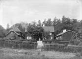 Linnés Hammarby, Danmarks socken, Uppland 1901