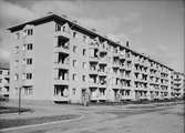 Flerbostadshus i Uppsala, oktober 1946