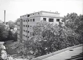 Flerbostadshus längs Vaksalagatan, kvarteret Oden Ygg, Uppsala,
under byggnation 1936