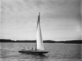 Segelbåt på Ekoln, Mälaren, Uppland
