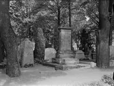 Uppsala gamla kyrkogård, Kungsgärdet, Uppsala 1950
