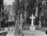Uppsala gamla kyrkogård, Kungsgärdet, Uppsala 1950