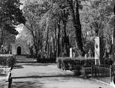 Uppsala gamla kyrkogård, Kungsgärdet, Uppsala 1950