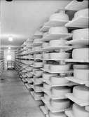 Lagring av ost på Mjölkcentralen, kvarteret Tor, S:t Persgatan, Uppsala i juli 1946