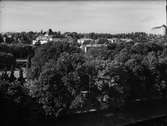 Stadsträdgården, Uppsala oktober 1949