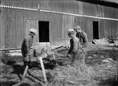 Repslagning på okänd ort i Uppland, september 1935