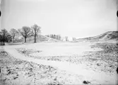 Gamla Uppsala högar, Gamla Uppsala 1935