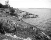 Berghällar på strand nära Öregrund, Uppland i juli 1923