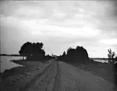 Landskapsvy med Dalälven, Hedesunda, Gästrikland i maj 1915