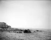 Havskust vid Skutskär, Älvkarleby socken, Uppland september 1916