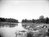 Olandsån i Börstils socken, Uppland, juli 1915