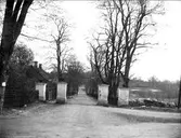 Grindstolpar och allé i Skebo bruk, Ununge socken, Uppland 1913