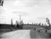 Skogsmark, Lunda socken, Uppland 1918