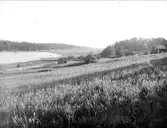 Landskapsvy med Kvisthamraviken, Frötuna socken, Uppland 1927