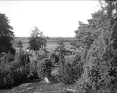 Landskapsvy, Lunda, Danmarks socken, Uppland september 1928