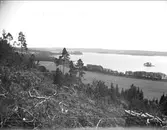 Landskapsvy, Ekerö socken, Uppland 1914
