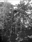 Klockstapel vid Tegelsmora kyrka,Tegelsmora socken, Uppland, september 1923