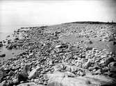 Stenig strand vid Bodalsfjärden, Örskär, Gräsö socken, Uppland i juli 1925