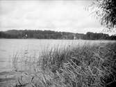 Sjövik nära Bollstanäs i Fresta socken, Uppland, september 1925