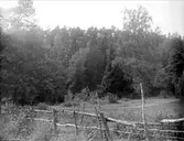 Norrviken, Sollentuna, Uppland 1925