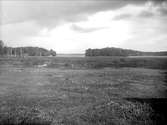 Landskapsvy vid Fysingen, Hammarby socken, Uppland 1928