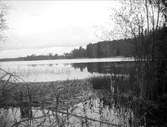 Gårsjön, nära Marielund, Funbo socken, Uppland juni 1923