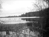 Gårsjön, nära Marielund, Funbo socken, Uppland juni 1923