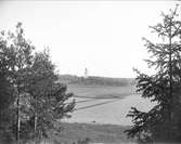 Landskapsvy med Simtuna kyrka, Simtuna socken, Uppland 1907