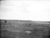 Landskapsvy, Simtuna socken, Uppland maj 1919