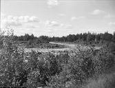 Tammsforsen, eventullt i Tammån, vid Untraverket, Söderfors socken, Uppland juni 1930