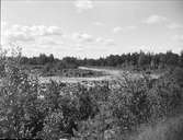 Tammsforsen, eventullt i Tammån, vid Untraverket, Söderfors socken, Uppland juni 1930