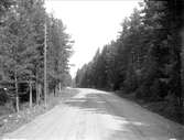 Väg i Älvkarleby socken, Uppland maj 1929