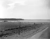 Åkermark nära Dalälven vid Marma, Älvkarleby socken, Uppland maj 1929