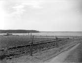 Åkermark nära Dalälven vid Marma, Älvkarleby socken, Uppland maj 1929