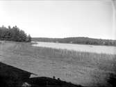 Lövsta hage vid sjön Trehörningen,  Funbo socken, Uppland augusti 1933