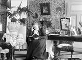 Läsande kvinna i hemmiljö, sannolikt Uppsala 1901